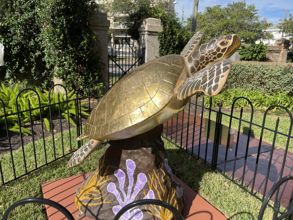 Bryan Museum Turtle