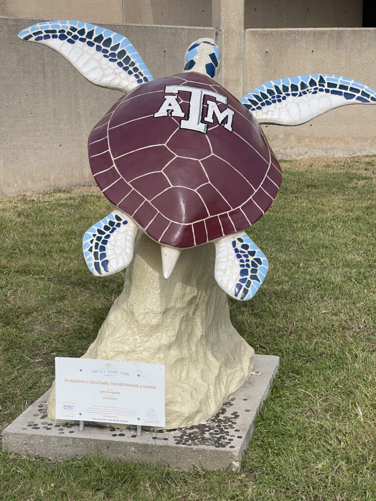 Texas Am Turtle 7